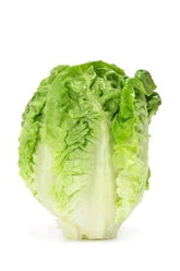 Emballage en vrac (pcs) - mini laitue romaine fraîche BIO (environ 8 paquets)